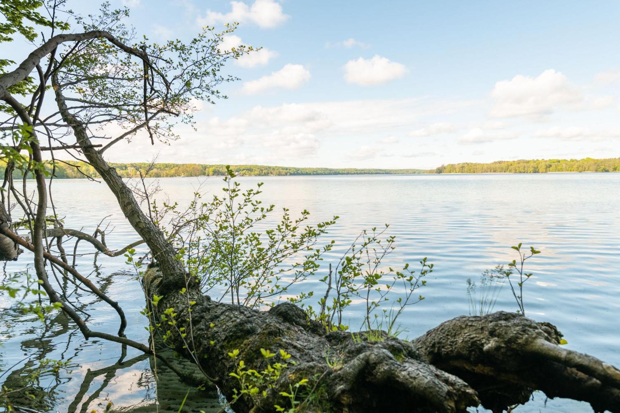 Budget Seezeit-Resort Am Werbellinsee Altenhof  Luaran gambar